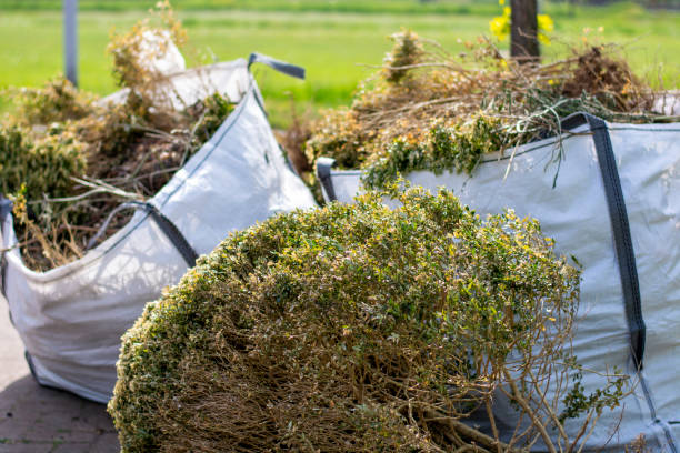 Best Junk Hauling Services  in West Bishop, CA